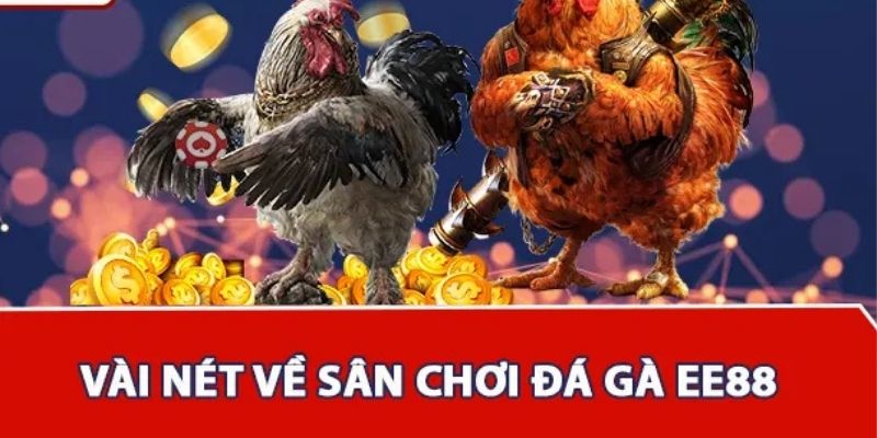 Khám phá sảnh Đá gà EE88